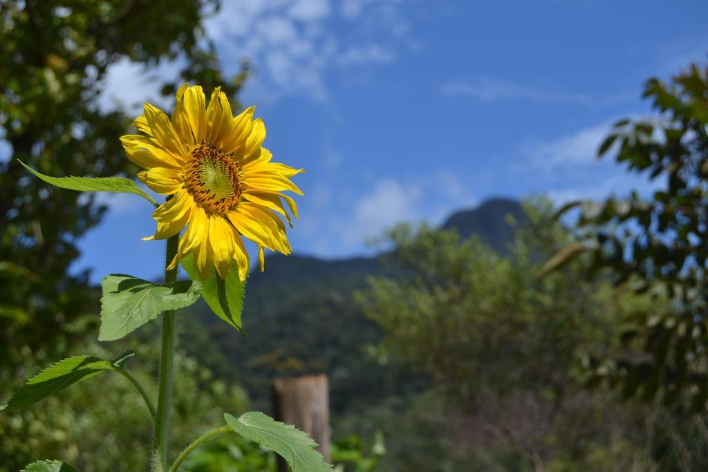 Espaço Puri Divino de Sao Lourenco Exterior foto